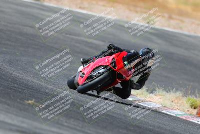 media/Jul-08-2023-2WTD (Sat) [[c8c0d2e149]]/C Group/1040am (Turn 3)/